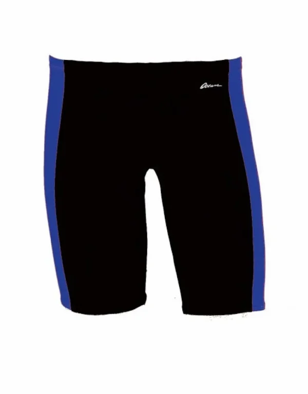 Dolfin: Ocean Panel Jammer
