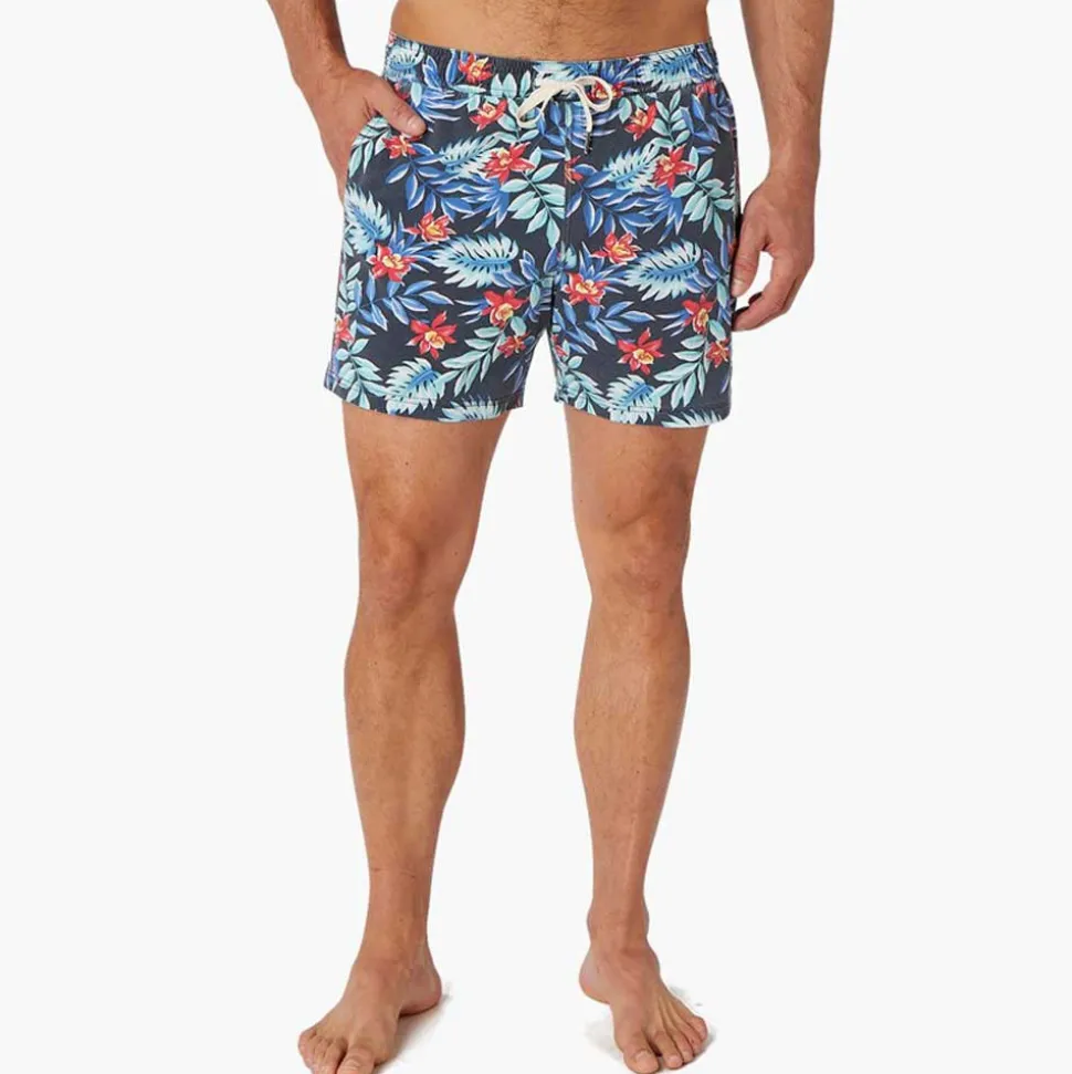 fair_harbor_the_bungalow__0-3.webp Fair Harbor: The Bungalow Midnight Palms Volley