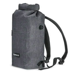 Icemule: Jaunt 9L Cooler