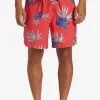 Quiksilver: Everyday Mix 17" Volley Shorts