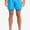 Quiksilver: Everyday 15" Volley