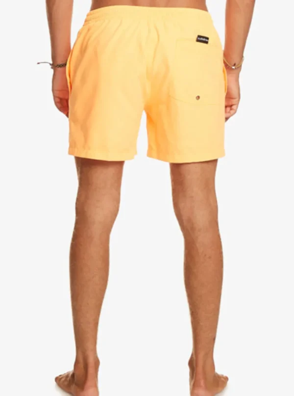 Quiksilver: Everyday 15" Volley