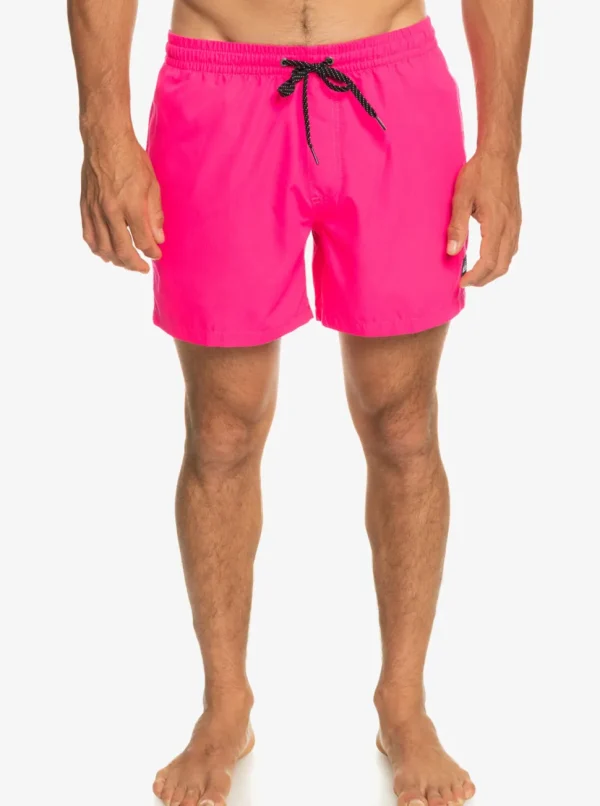 Quiksilver: Everyday 15" Volley