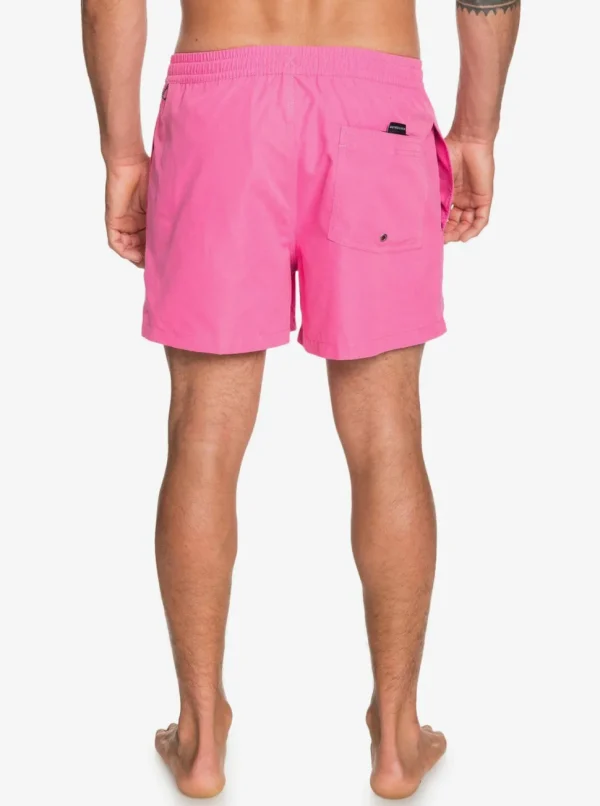 Quiksilver: Everyday 15" Volley