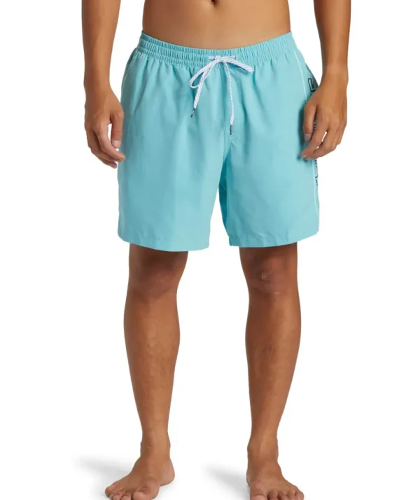 Quiksilver: Everyday Vert 17" Volley 2 Shorts